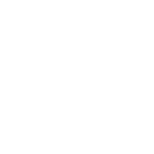 Hire Vuejs Developers