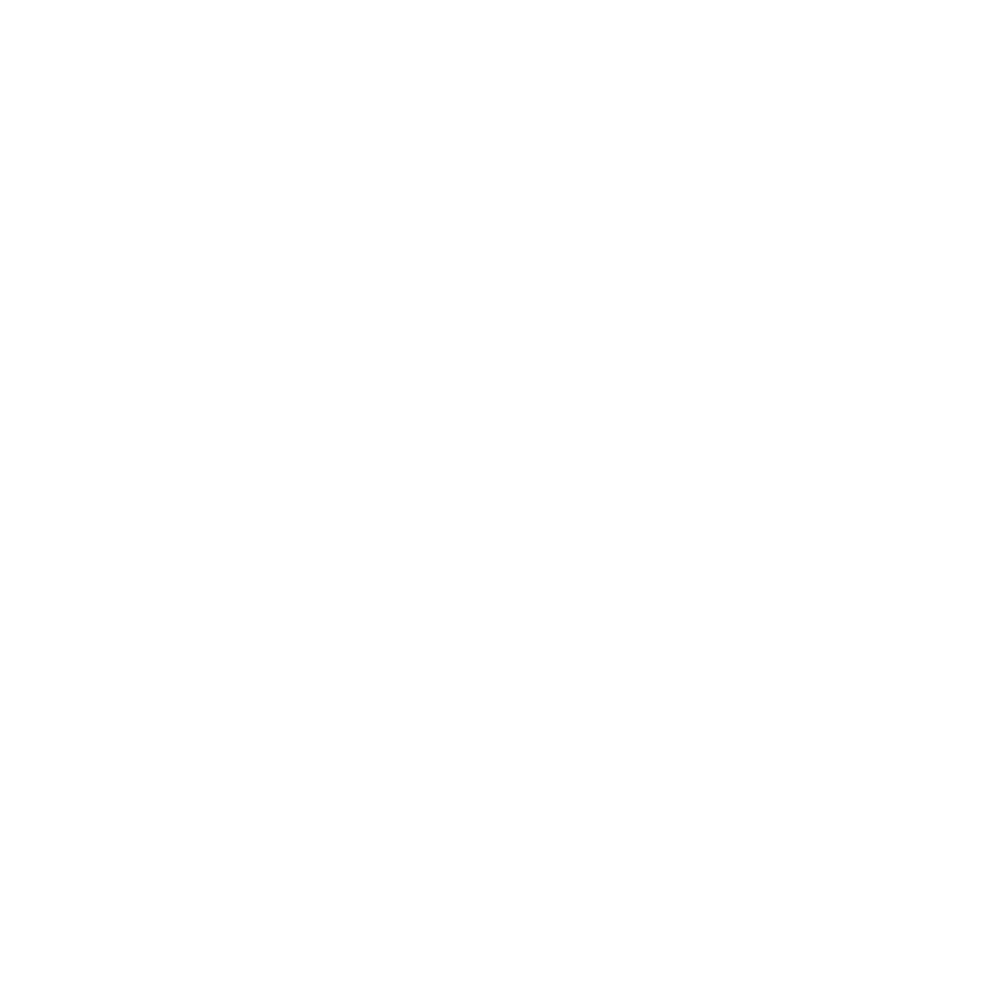 Hire Wordpress Developers
